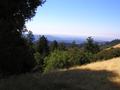 Portola Redwoods State Park