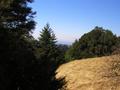 Portola Redwoods State Park